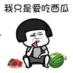 吃瓜来娱乐,娱乐至上的时代盛宴