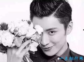 男明星人气排行,璀璨星河，谁主沉浮？